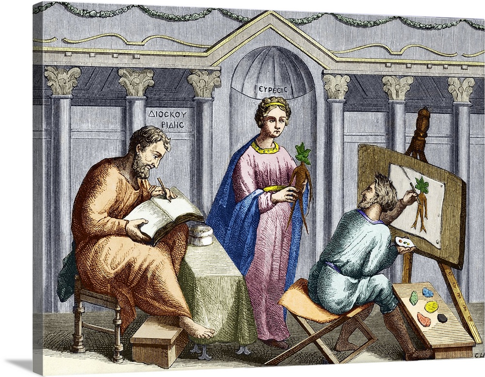 Pedanius Dioscorides (c.40-c.90 AD), ancient Greek physician. Coloured historical artwork of Dioscorides (pictured at left...