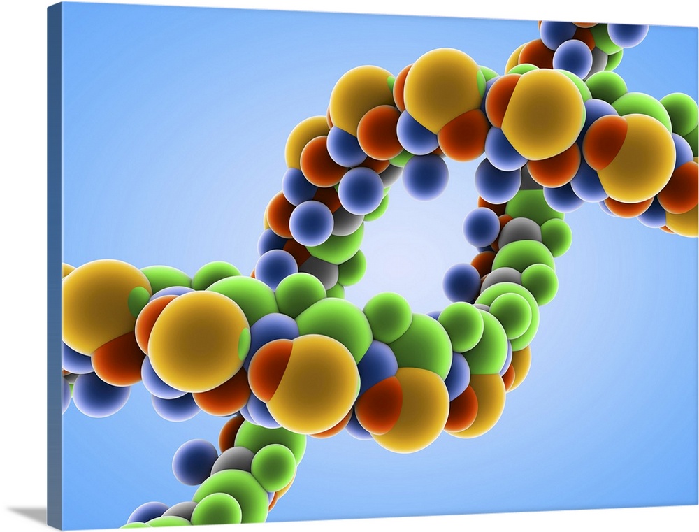 DNA, computer artwork. DNA (deoxyribonucleic acid) is the molecule that controls the growth, development and functioning o...
