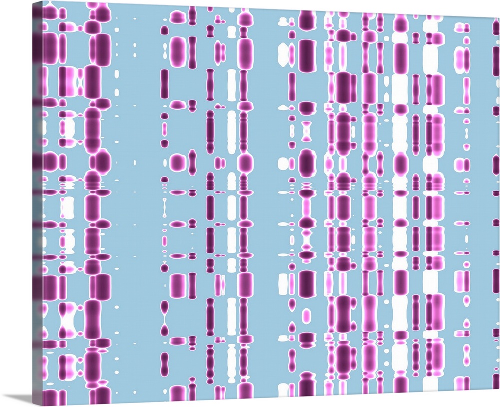 DNA autoradiogram, artwork. Autoradiograms show the order of nucleotide bases (basic building blocks) in a sample of DNA (...
