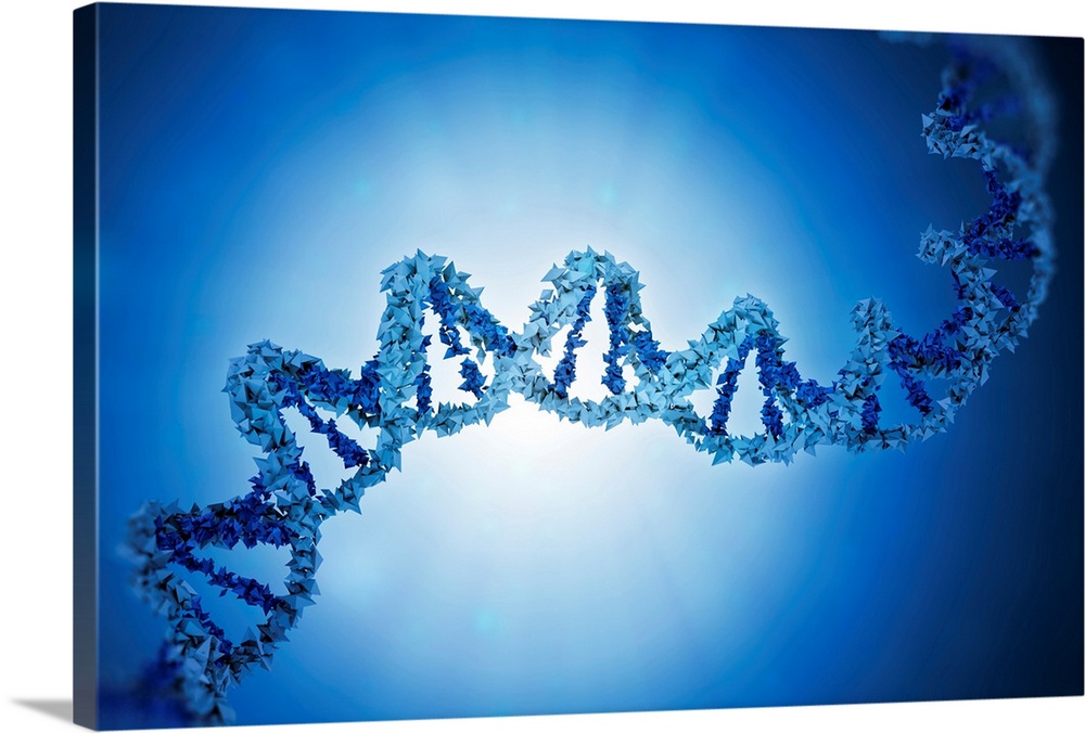 Deoxyribonucleic acid (DNA), computer illustration.