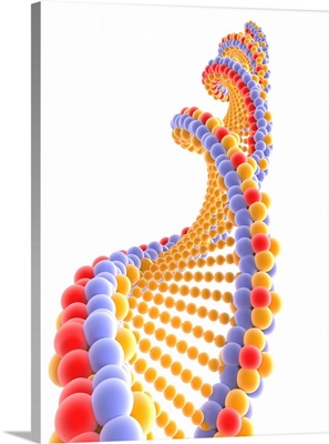DNA Molecule, Artwork