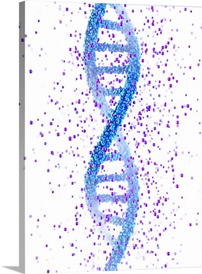 DNA Molecule, Illustration