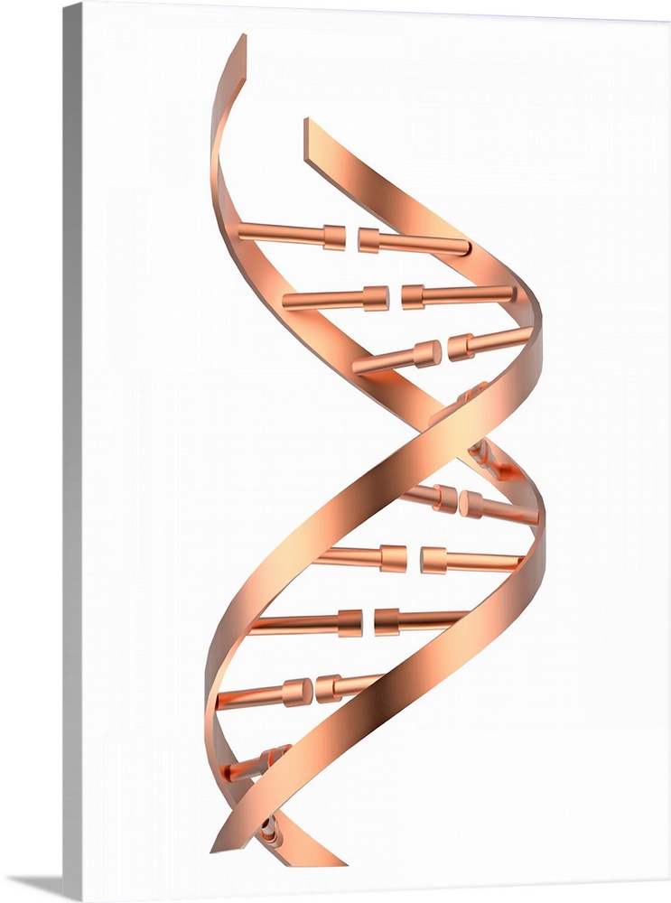 DNA (deoxyribonucleic acid) strand, illustration.