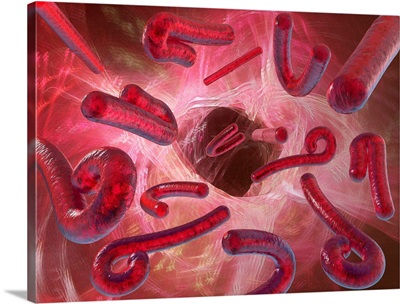 Ebola viruses, artwork