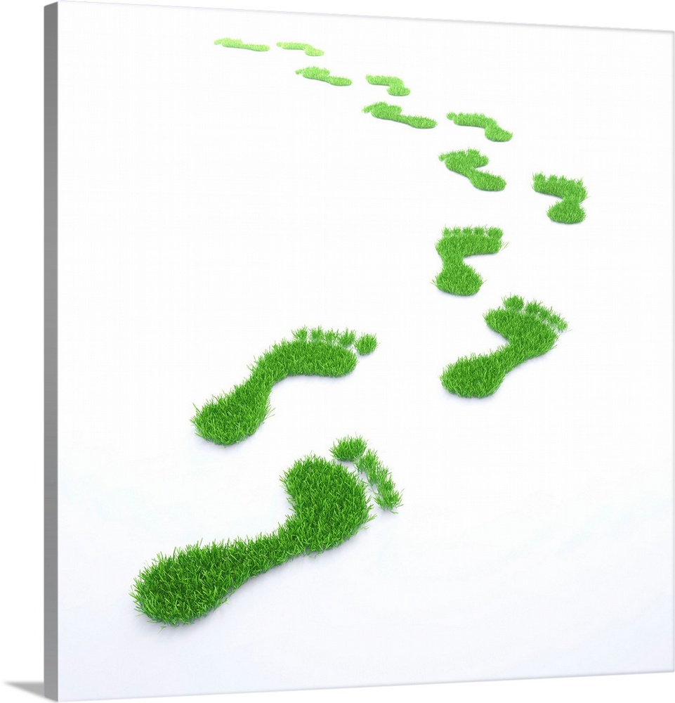 Environmental footprint, conceptual computer artwork.