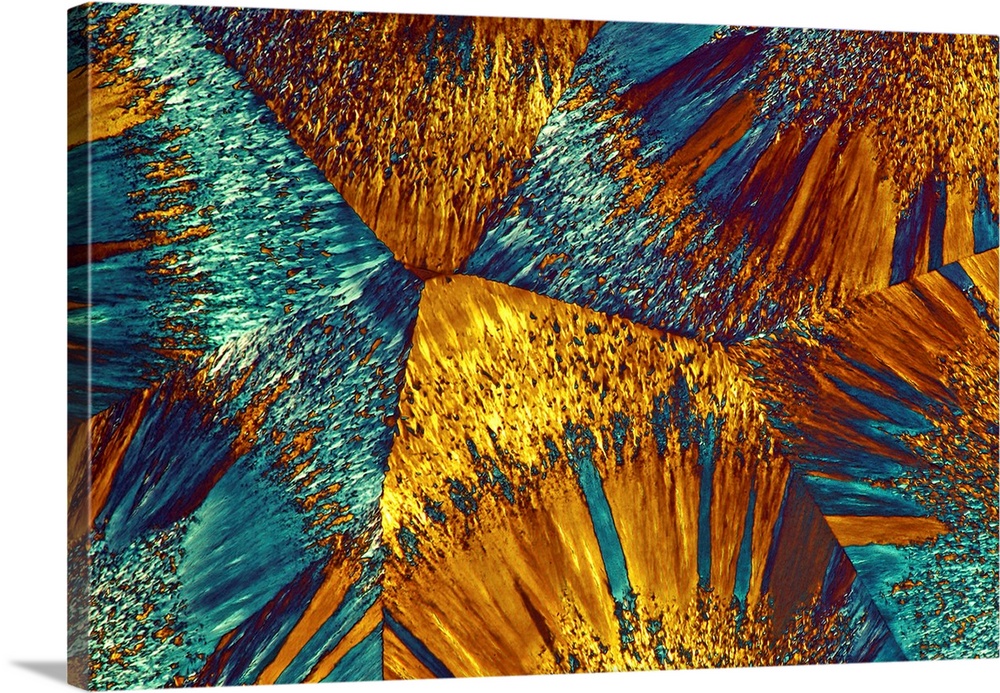 EDTA crystals. Polarised light micrograph of a section through ethylenediaminetetraacetic acid (EDTA) crystals. EDTA is us...