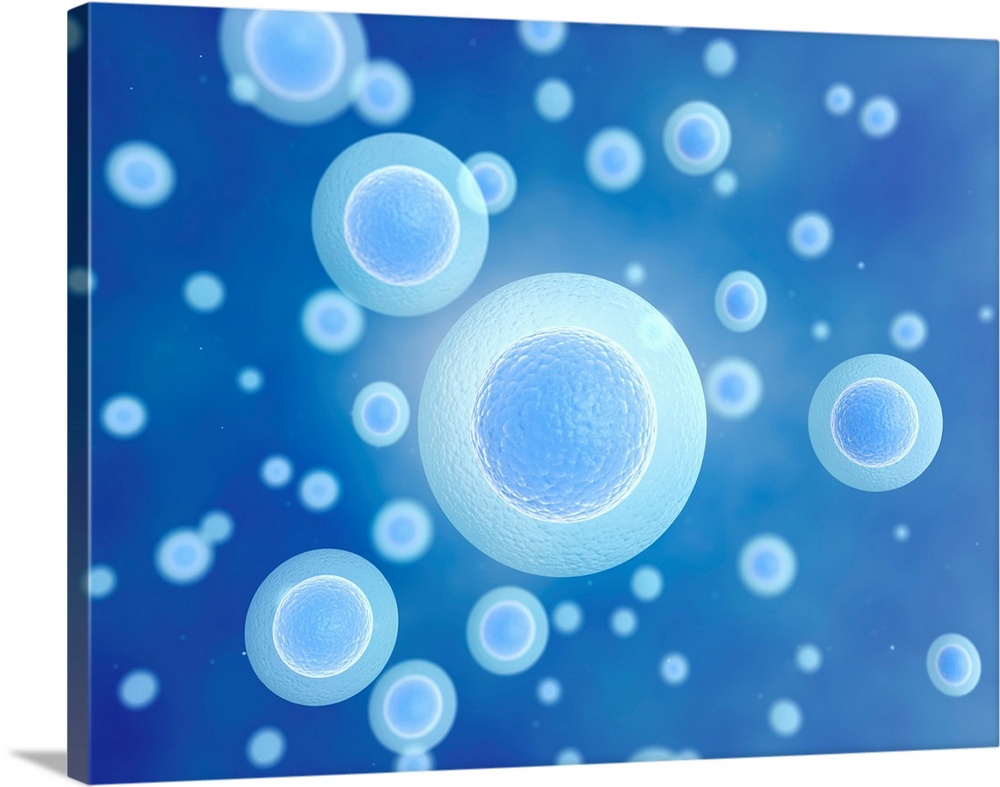 Egg cells against a blue background, illustration.