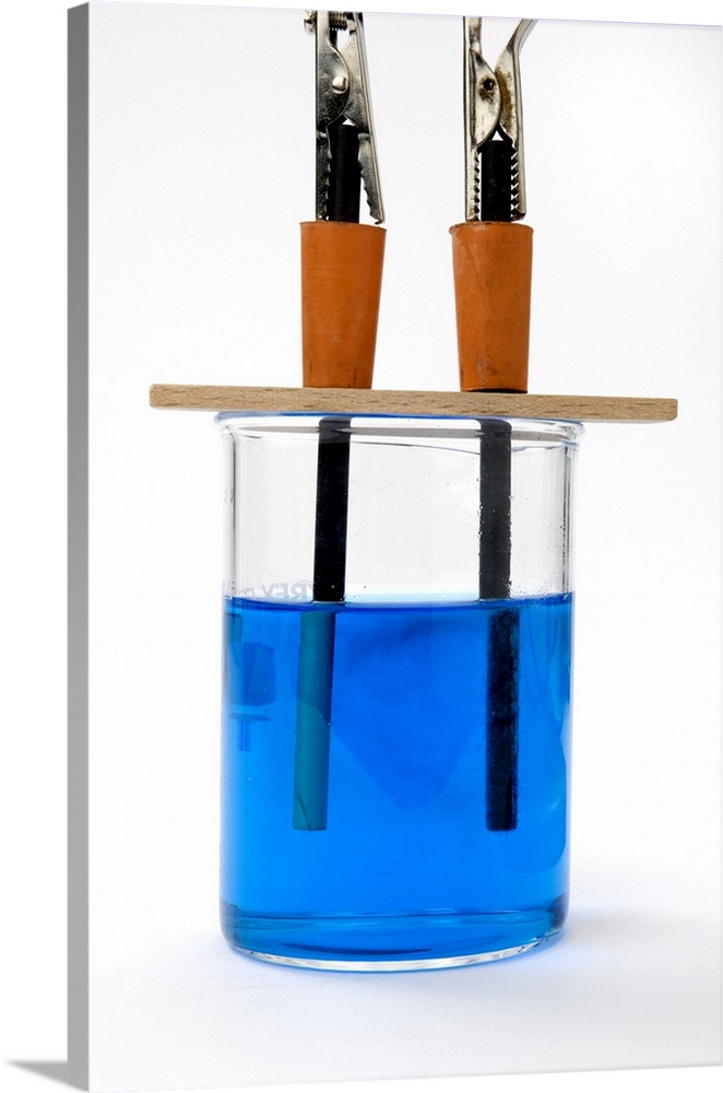 Electrolysis of copper sulphate. Glass beaker of copper sulphate solution (blue) into which two carbon electrodes (black) ...