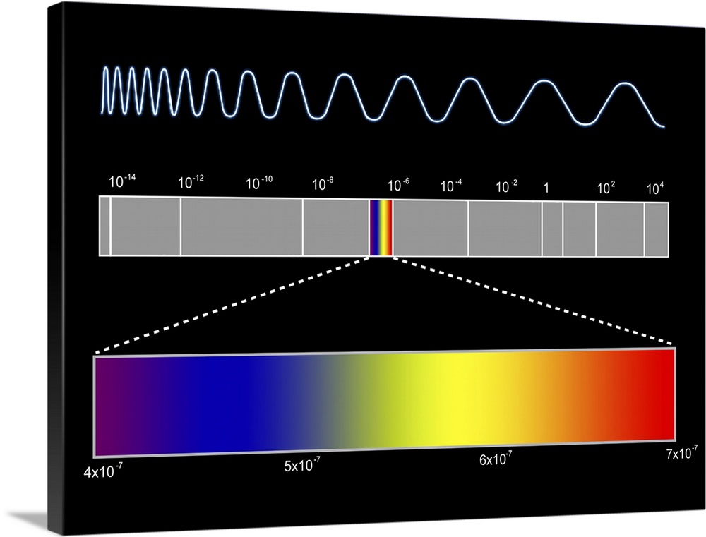Electromagnetic spectrum. Computer artwork of the electromagnetic (EM) spectrum (across centre) and the component colours ...