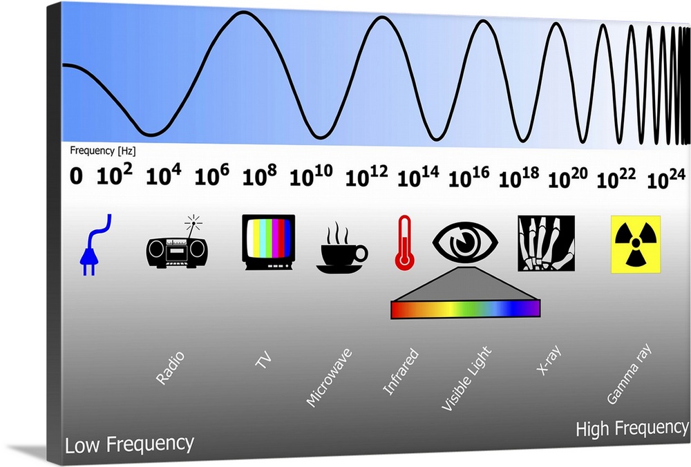 Electromagnetic spectrum. Diagram showing the changing wavelengths of electromagnetic (EM) radiation (top) and the corresp...