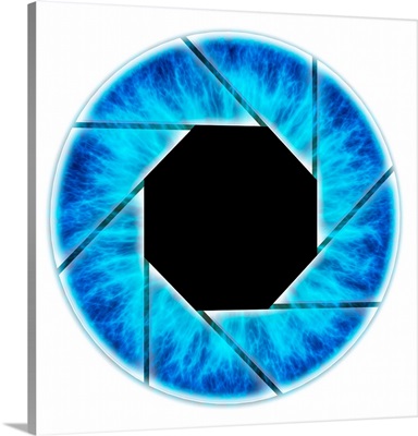 Eye, Iris With Camera Diaphragm, Illustration