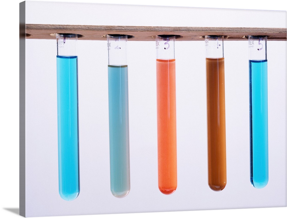 Fehling's test for sugars. Five test tubes showing the colour changes observed when using Fehling's reagent (blue) to test...