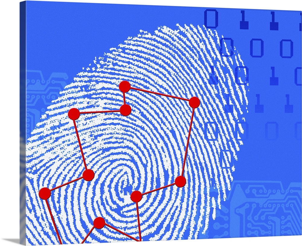 Fingerprint scanning. Computer artwork of a fingerprint scan with markings (red dots) showing the positions of characteris...