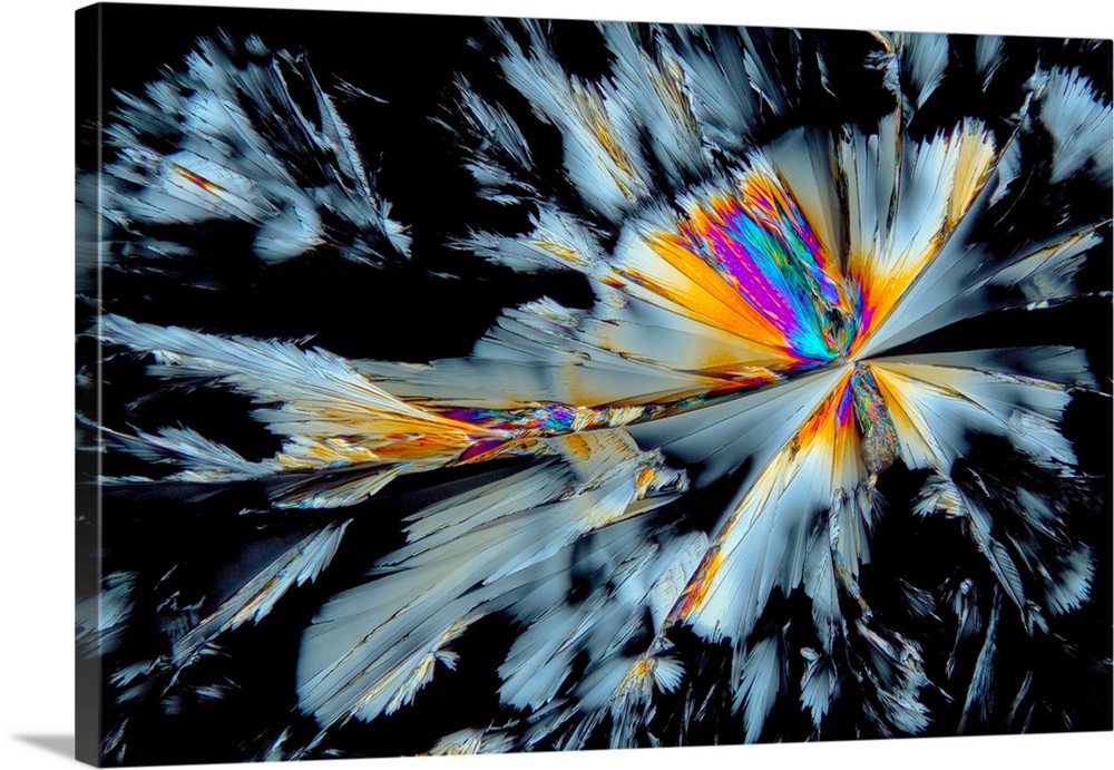 Fluoxetine drug crystals. Polarized light micrograph of crystals of the drug fluoxetine hydrochloride, a selective seroton...