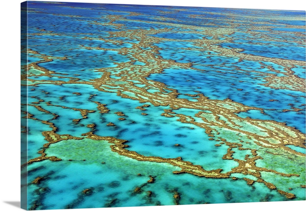 Great Barrier Reef. Aerial view of the Great Barrier Reef, Australia. The Great Barrier Reef is the largest accumulation o...