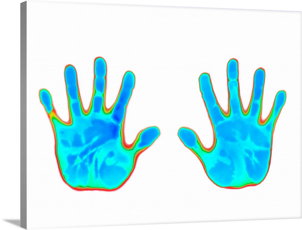 Image of hands produced on thermochromic film. Thermochromic materials use liquid crystal technology which is encapsulated...
