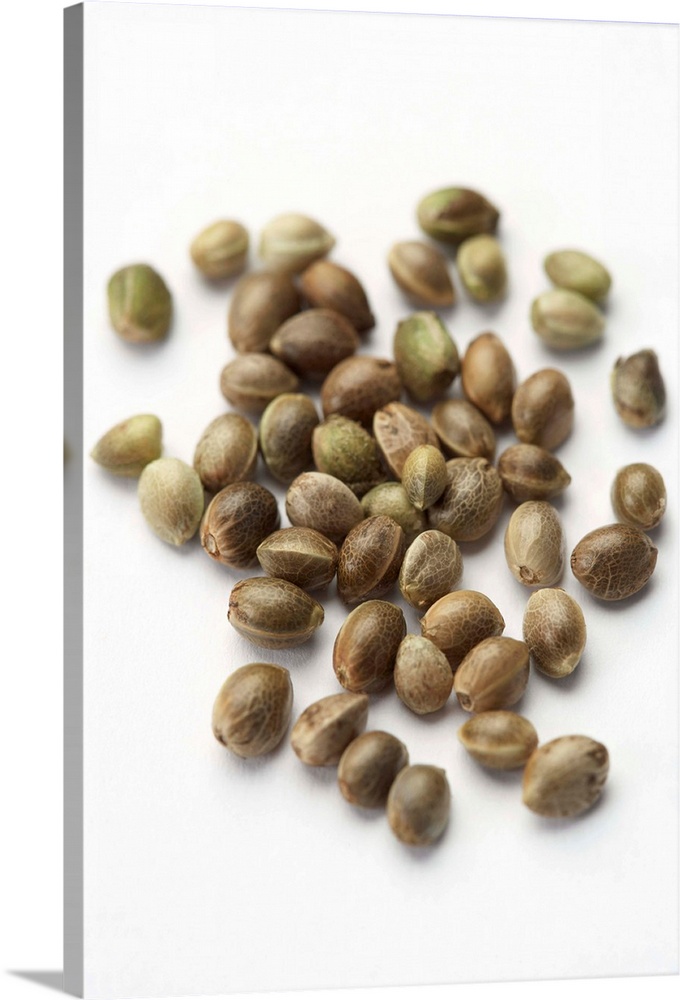 Hemp seeds (Cannabis sativa sativa). The oil contained within these seeds is an excellent source of essential fatty acids ...