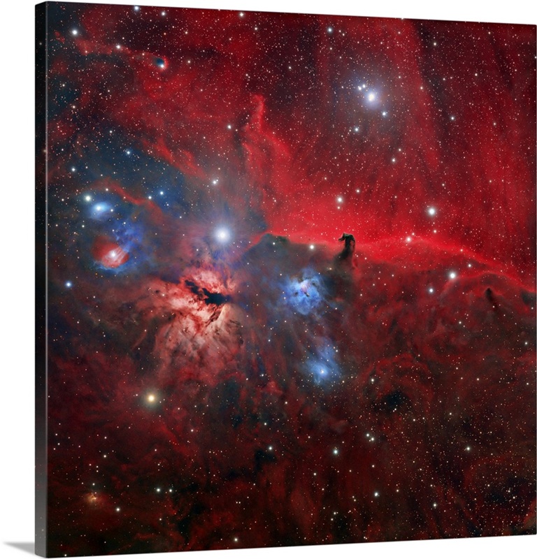 Horsehead And Flame Nebulae | Great Big Canvas