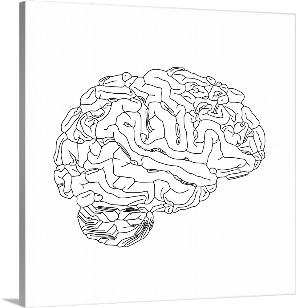 Human brain, abstract illustration.