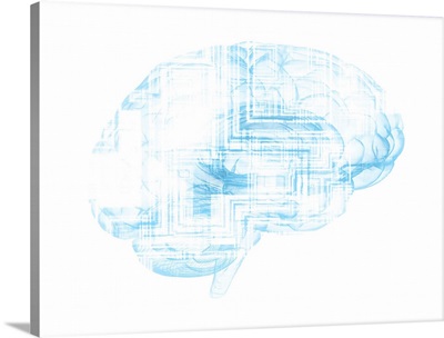 Human Brain With Circuit Boards