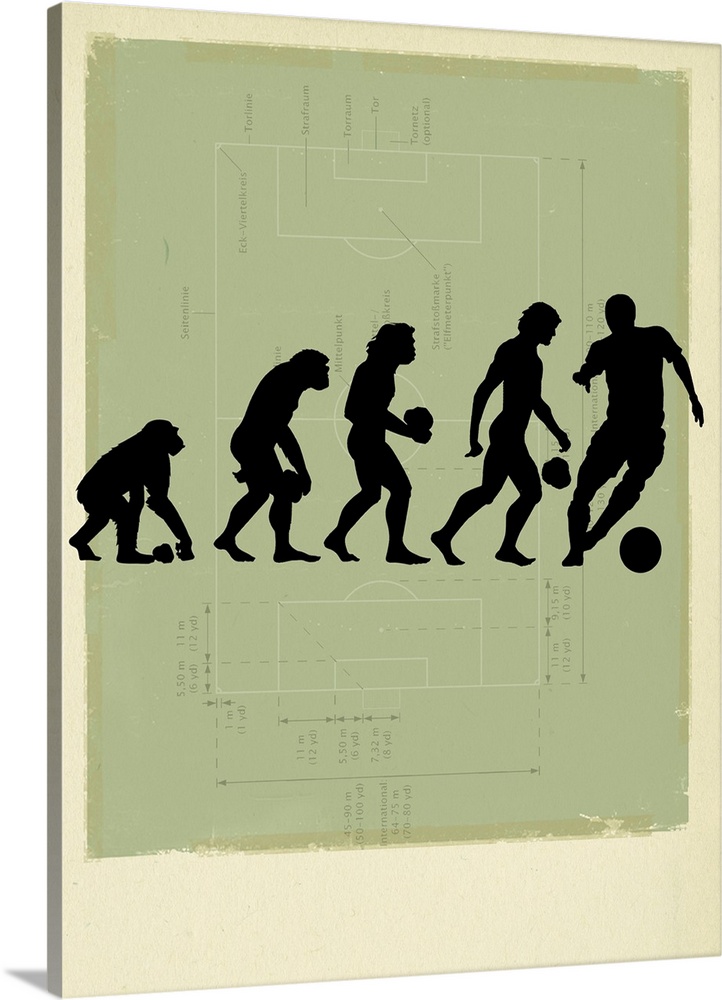 Human evolution. Conceptual image of a sequence showing primates evolving to hominids, early humans and modern humans, wit...