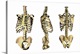 image thumbnail of Human skeleton anatomy, computer artwork. Three views of the bones of the human torso, seen from an oblique frontal view (...