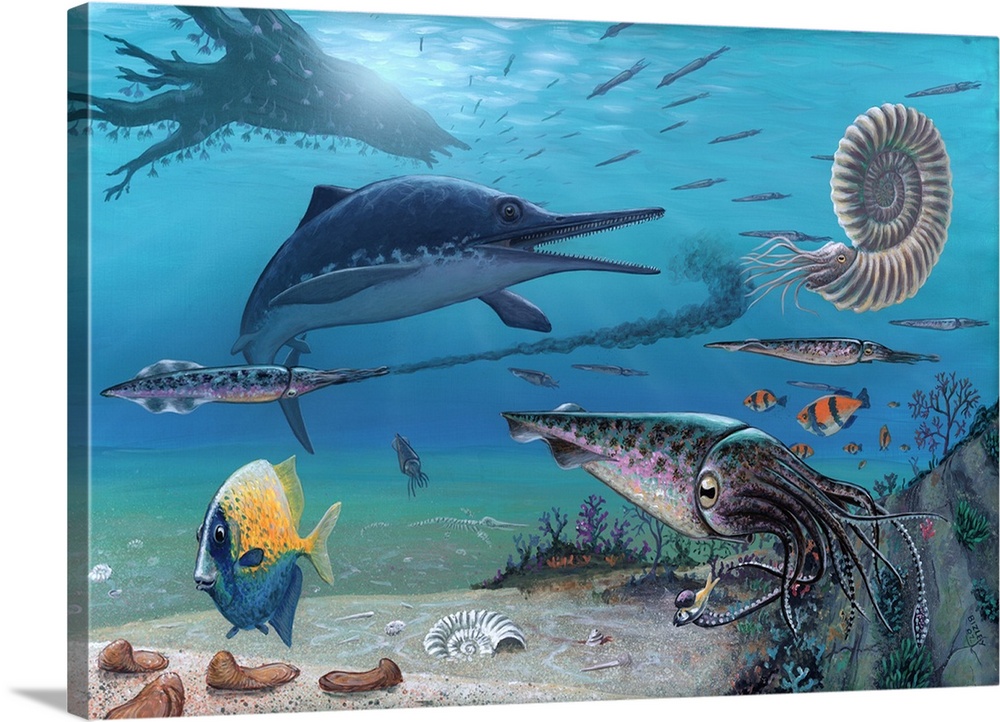 Ichthyosaur and prey. Artwork of an Ichthyosaurus marine reptile (centre left) hunting its prey, a belemnite (far left), d...