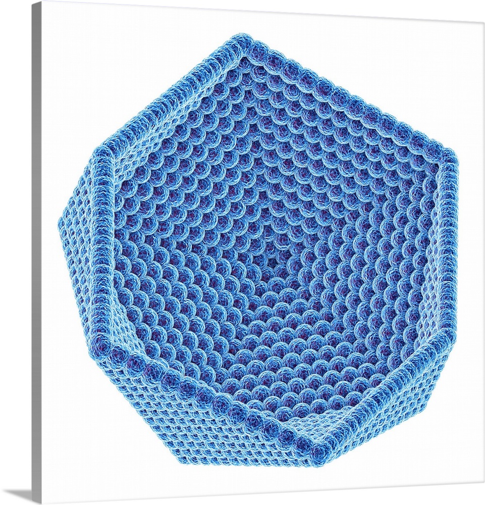 Computer artwork of the inner surface of an icosahedral virus capsid. The capsid is the protein shell of the virus and enc...