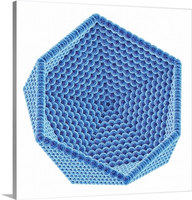 Icosahedral Virus Capsid, Illustration