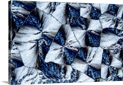 Lactose Crystals, Light Micrograph