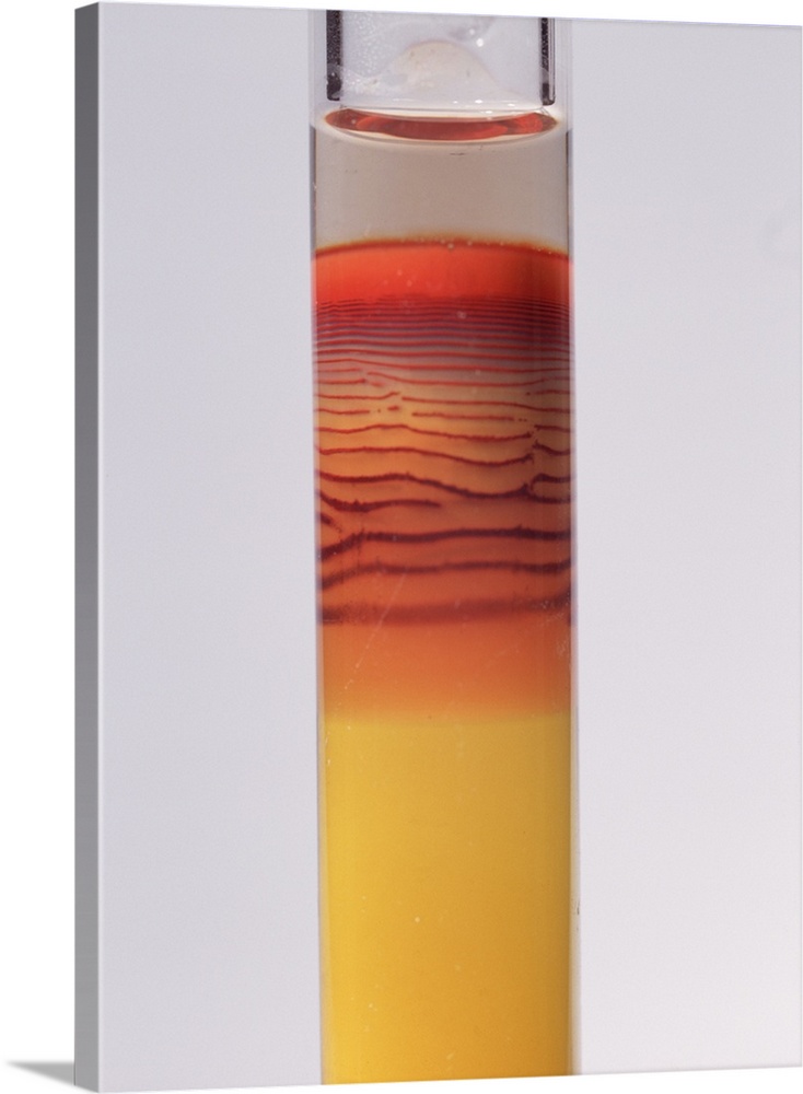 Liesegang patterns. Potassium dichromate (K2Cr2O7) reacted with silver nitrate (AgNO3) through a gel, forming a series of ...