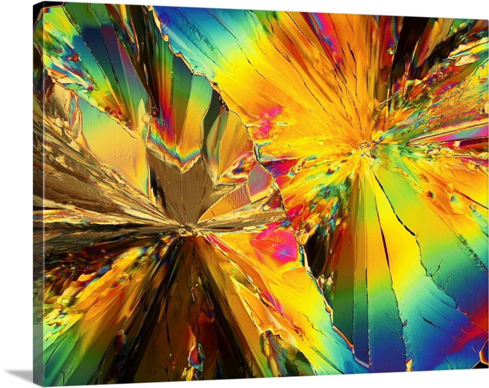 Polarised light micrograph of crystals of citric acid, now known as tricarboxylic acid. Citric acid can be obtained from n...