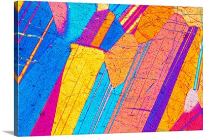 LM Of A Thin Section Of Gabbro Rock