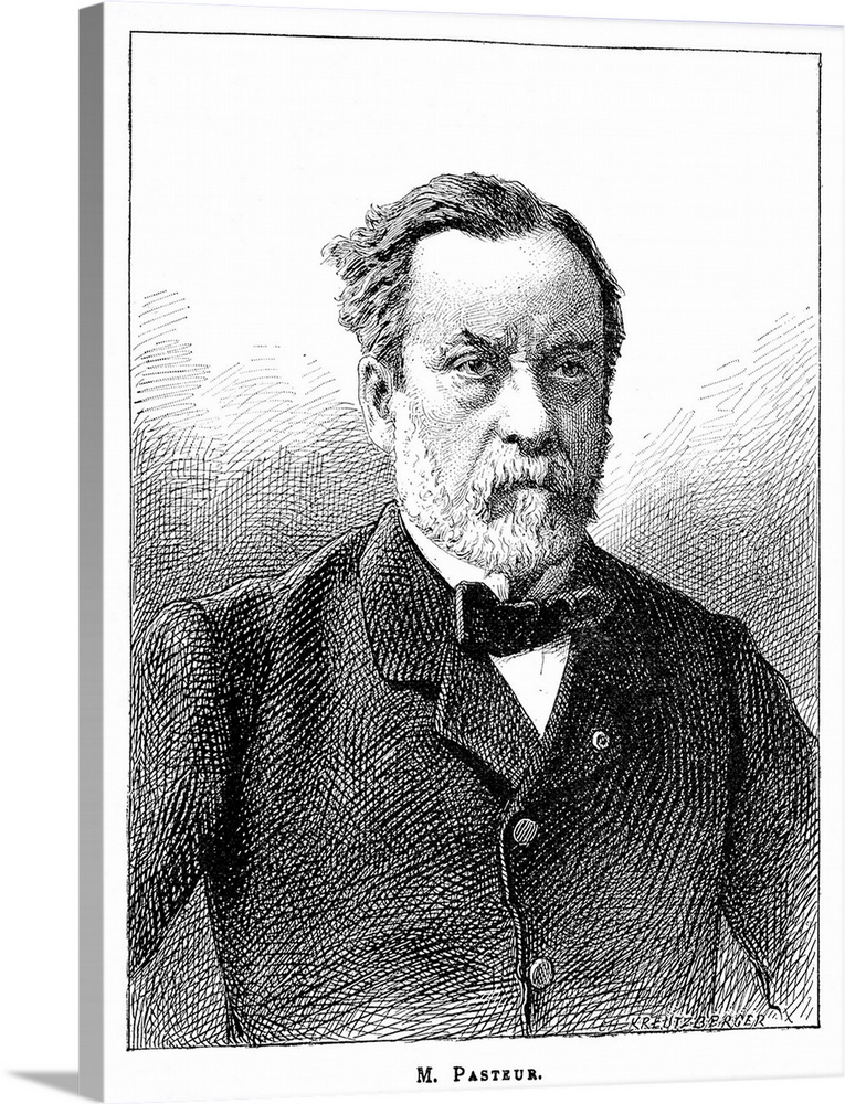 Louis Pasteur (1822-1895), French microbiologist and chemist. Pasteur found that fermentation is caused by micro-organisms...