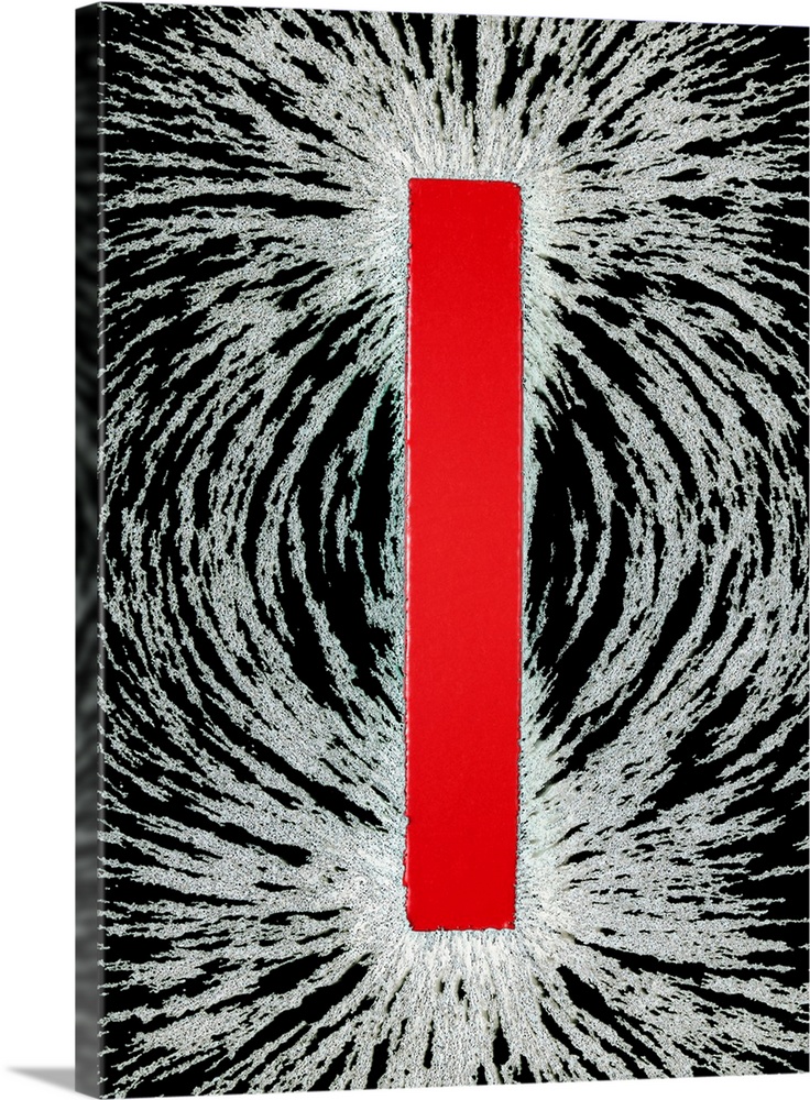 Magnetic field. Bar magnet with iron filings aligned around it. The magnetic field induces magnetism in each of the filing...