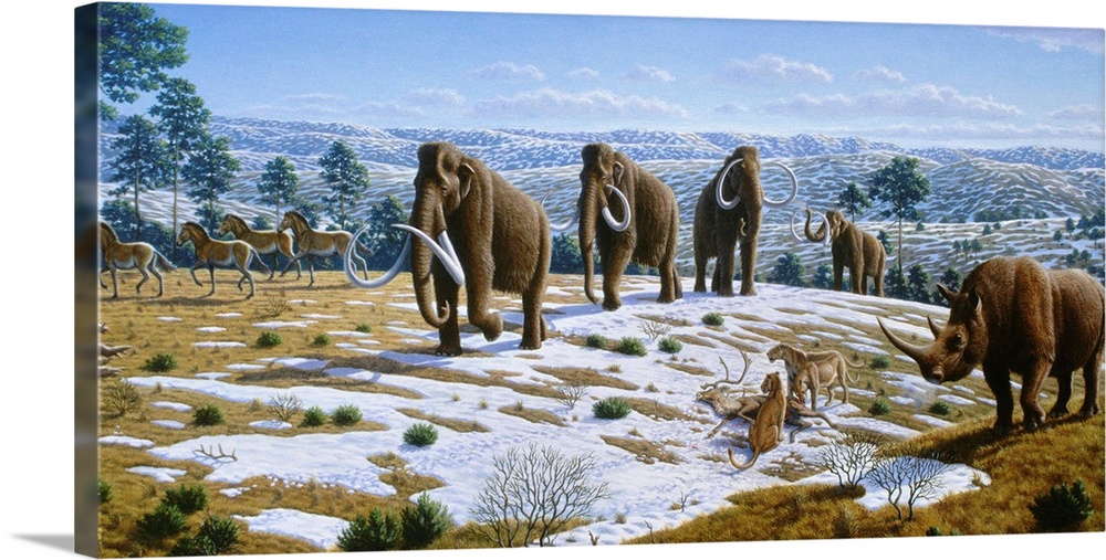 Mammals of the Pleistocene era. Artwork showing wildlife believed to have existed in the Northern Iberian Peninsula during...