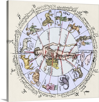 Medical zodiac, 15th century diagram