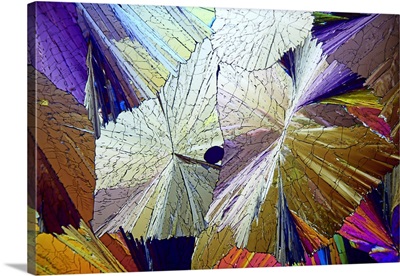 Methyl Sulphonal Crystals, Micrograph
