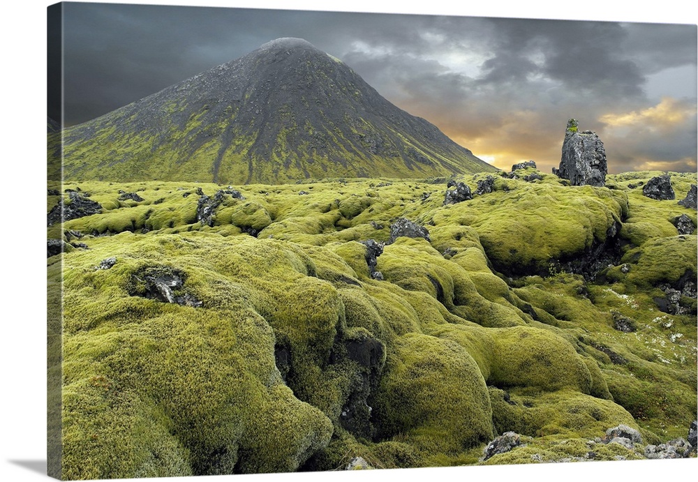Moss-covered lava field and volcanic cone, Iceland. The lava fields of southern Iceland are often covered with mats of mos...