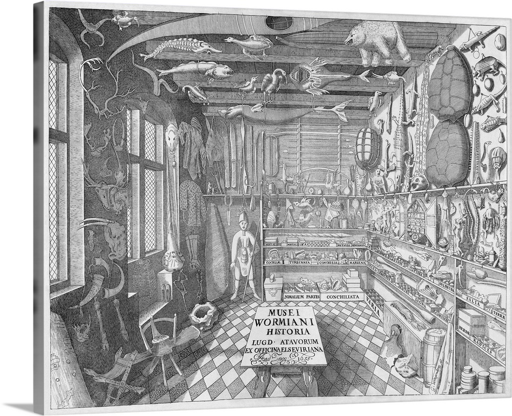 The Museum Wormianum of Ole Worm, engraved plate. This illustration depicts the Museum Wormianum, a natural history collec...