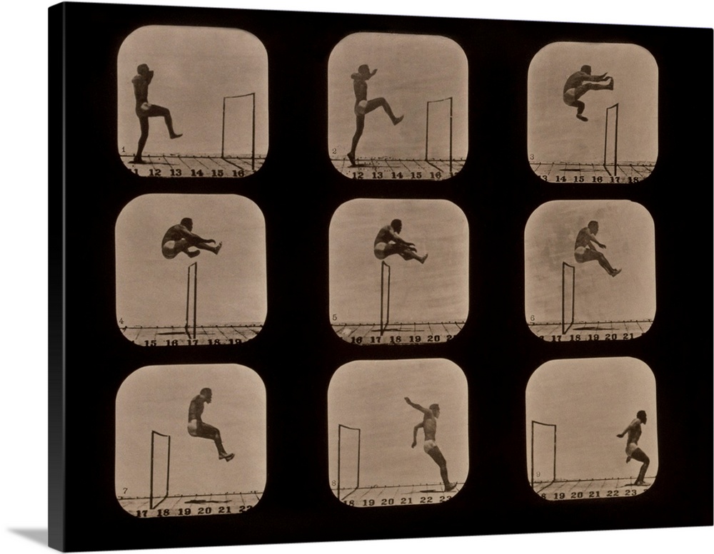 Muybridge motion study. Series of early photographs showing the motion of an athlete carrying out a walking leap over a hu...