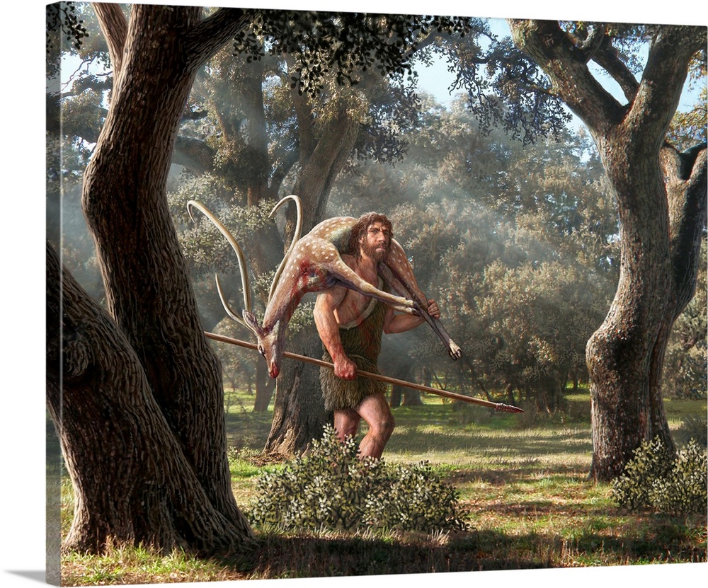 Neanderthal hunter. Illustration of a Neanderthal hunter in woodland with a spear, returning home with his recent kill, th...