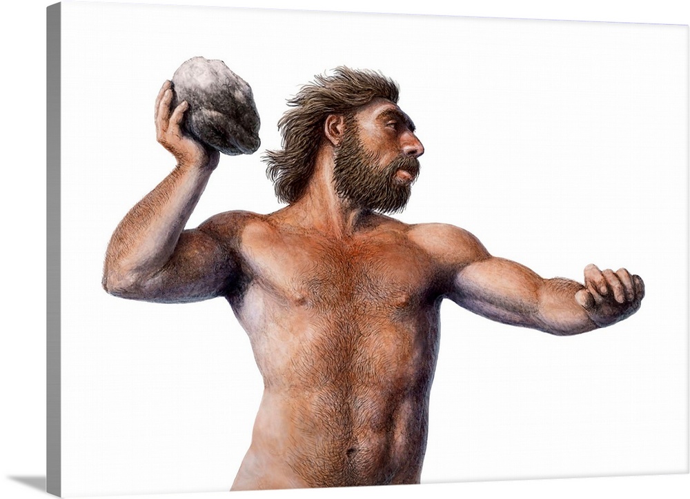 Illustration of a Neanderthal (Homo neanderthalensis) man throwing a rock. Neanderthals were relatives of humans that inha...