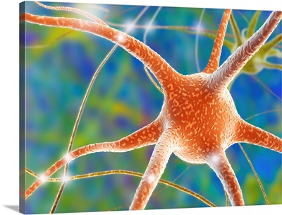 Nerve cell, computer artwork