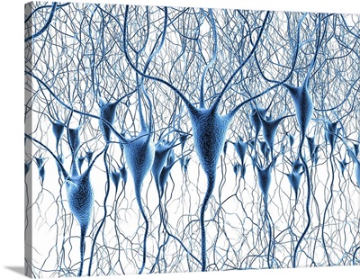 Nerve Cells, Artwork