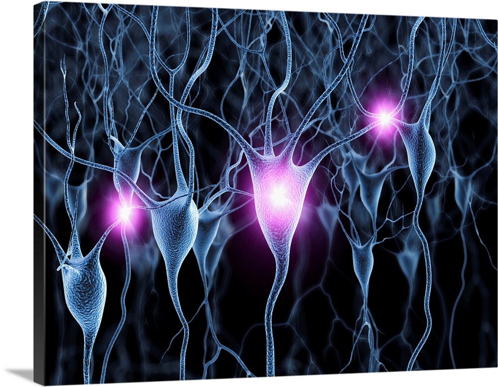 Computer artwork of firing nerve cells, also called neurons. Neurons are responsible for passing information around the ce...