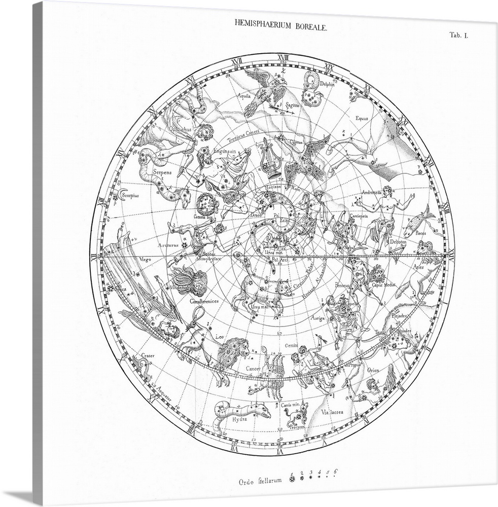 Northern celestial map. Historical map of the sky of the northern hemisphere, showing the stars and mythological drawings ...