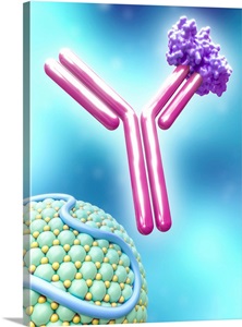 PCSK9 And Inhibitor, Illustration image thumbnail