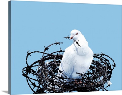Peace Dove, Conceptual Image