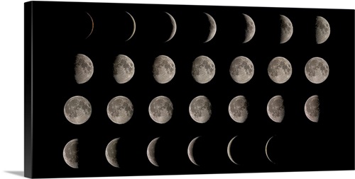 Phases of the Moon | Great Big Canvas